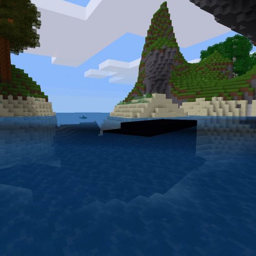 baleine.jpg