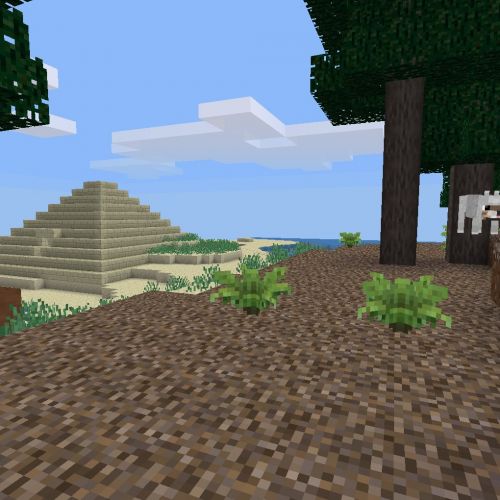 grizzli-pyramide-loup.jpg