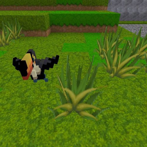 toucan.jpg