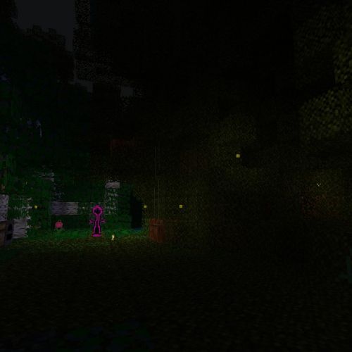 mie-maison-arbre-nuit.jpg