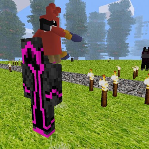 Portraits