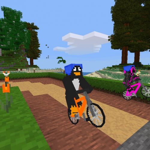 velo-shazen-romane-02.jpg