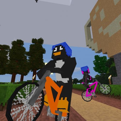 velo-shazen-romane.jpg