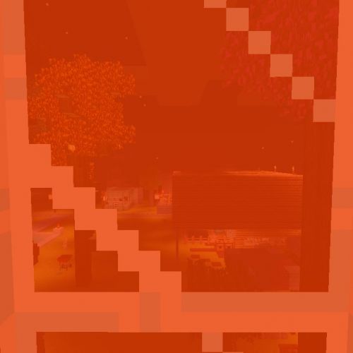 2020-06-01_006.jpg