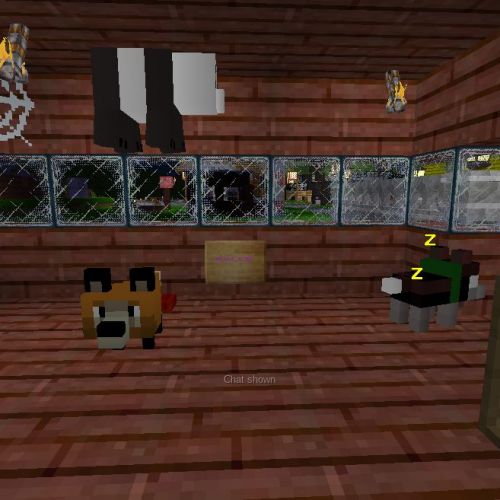 pet-shop.jpg