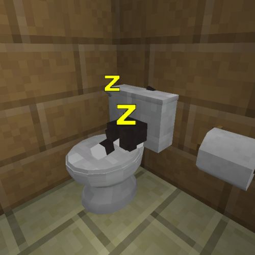 shasha-toilettes-2.jpg
